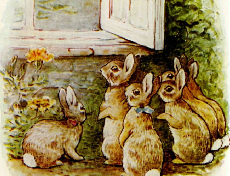 ‘For little rabbits’: a guide to the books of Beatrix Potter